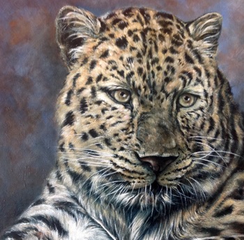 “Big Cats II” Panter