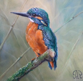 Kingfisher