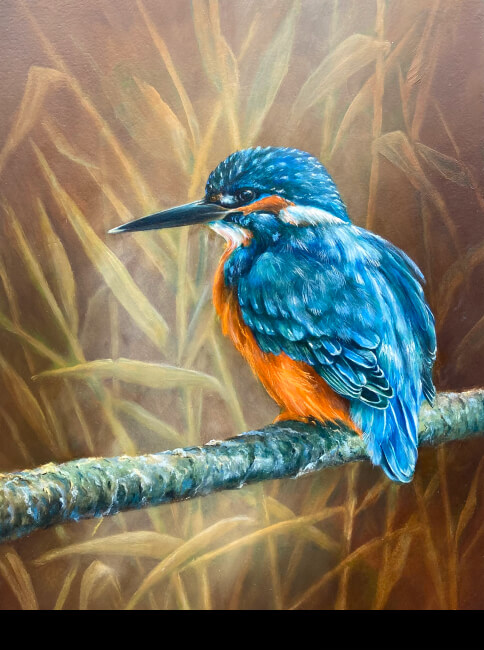  IJsvogel, 2023-30x40-olieverf op paneel