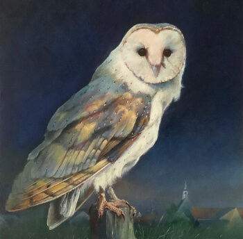 Kerkuil, 2024 - 30x40 - olie op paneel