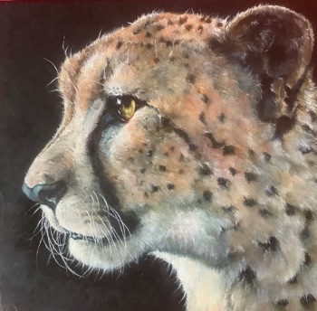 “Big Cats I” Cheetah