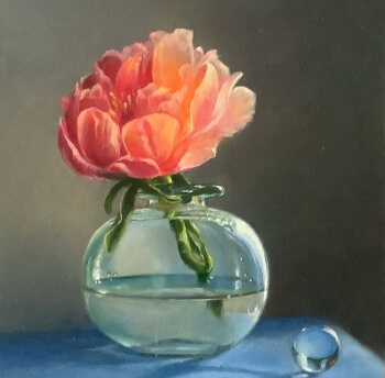 Pioenroos, 2023 - 18x24 - oli op paneel